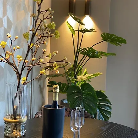 Brabant Apartment Nistelrode
