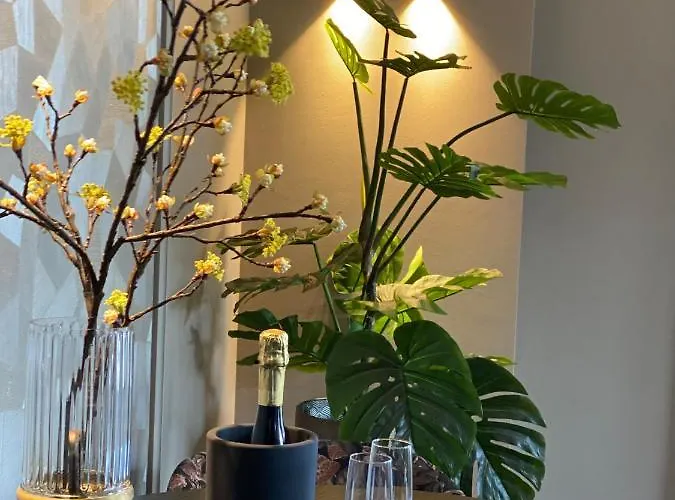 Brabant Daire Nistelrode